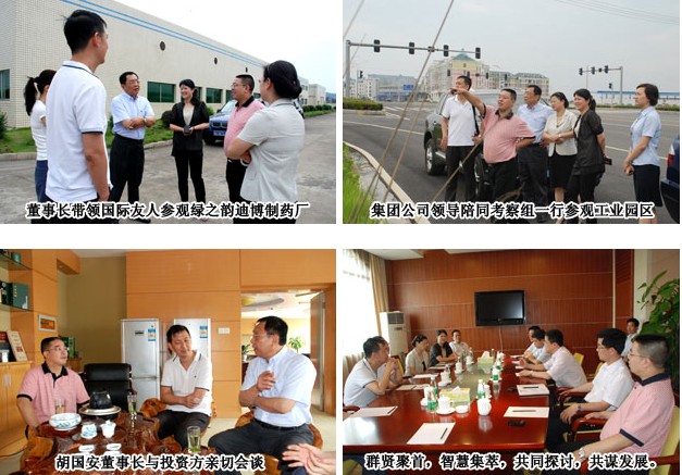 海外知名投資公司來綠之韻集團(tuán)訪問洽談