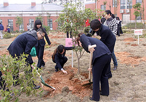 綠之韻集團(tuán)開展3?12植樹活動(dòng)