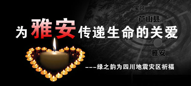 為雅安祈福——綠之韻用愛(ài)心行動(dòng)守護(hù)雅安人民