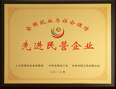 全國就業(yè)與社會保障先進(jìn)民營企業(yè)