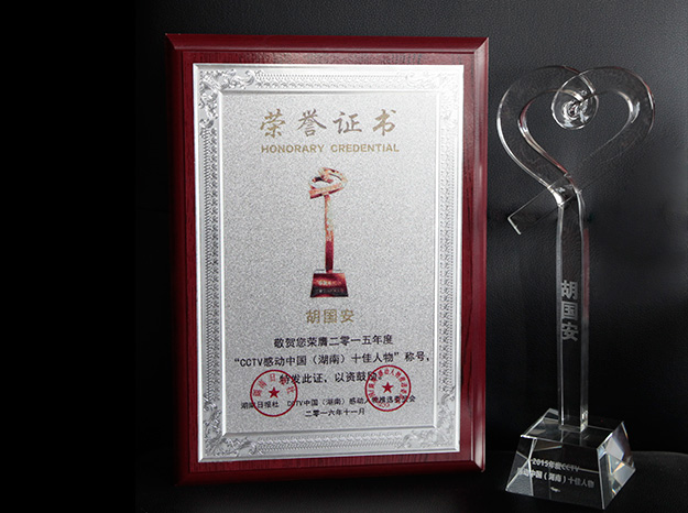 CCTV感動中國(湖南)十佳人物