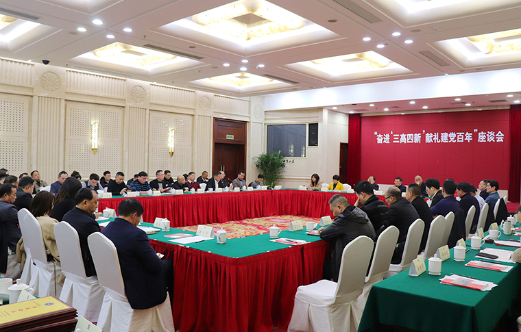 胡國安董事長參加長沙市工商聯(lián)“奮進‘三高四新’獻禮建黨百年”座談會