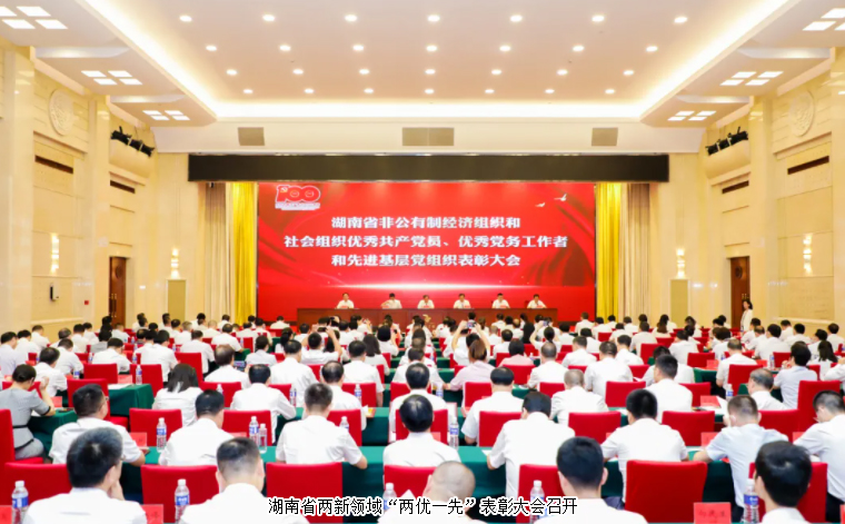 湖南省兩新領(lǐng)域“兩優(yōu)一先”表彰大會(huì)召開，綠之韻集團(tuán)黨委書記劉云榮獲湖南省“優(yōu)秀黨務(wù)工作者”榮譽(yù)