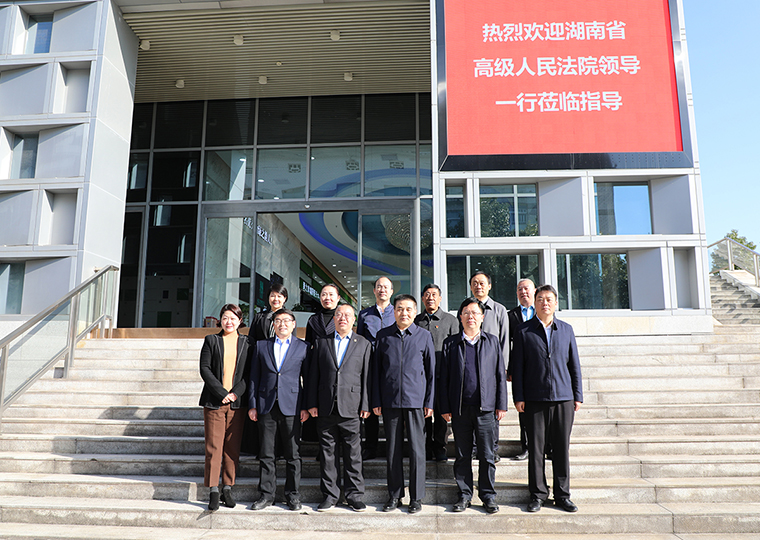 湖南省高級(jí)人民法院黨組書記、院長(zhǎng)田立文一行蒞臨綠之韻調(diào)研指導(dǎo)