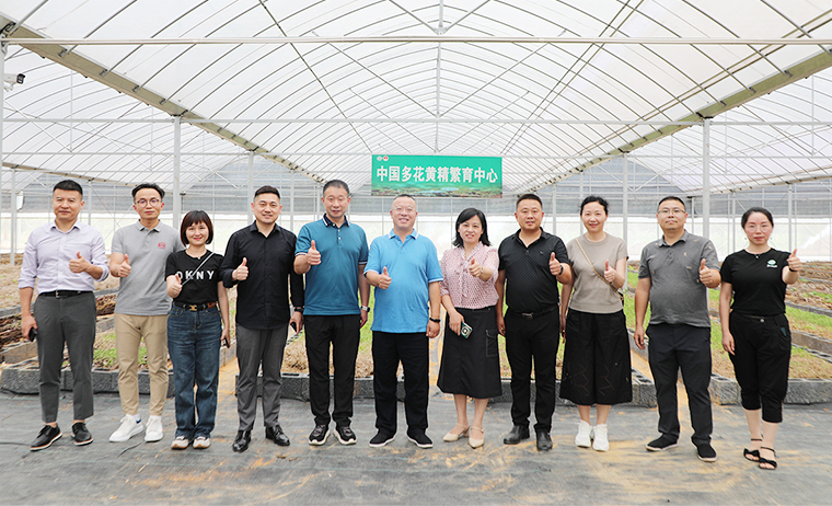 盡職履責(zé) 共謀家鄉(xiāng)產(chǎn)業(yè)振興 | 胡國安董事長(zhǎng)考察安化黃精產(chǎn)業(yè)發(fā)展，助力鄉(xiāng)村振興造福桑梓